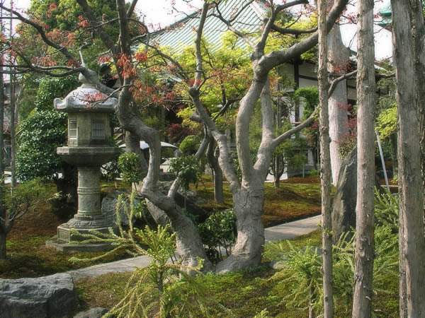 日本庭園と寺
