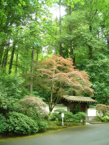 アメリカの日本庭園のフリー写真素材　無料画像