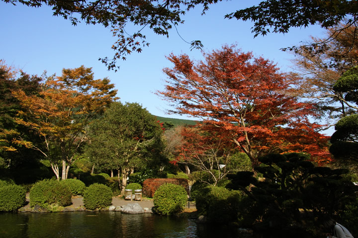 뉀EEL̃t[ʐ^fށE摜Ano.052