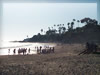 夕暮れのビーチ（ラグナビーチ）の無料写真・フリー素材