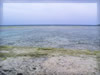 海・海岸・ビーチ（砂浜）のフリー写真素材・無料画像035