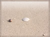 海・海岸・ビーチ（砂浜）のフリー写真素材・無料画像071