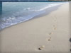 海・ビーチのフリー写真素材・無料画像080