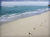 海・ビーチのフリー写真素材・無料画像081