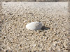 海・ビーチのフリー写真素材・無料画像083