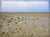 海・海岸・ビーチのフリー写真素材・無料画像108