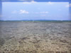 海・海岸・ビーチのフリー写真素材・無料画像109