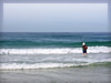 海・海岸・ビーチのフリー写真素材・無料画像135