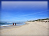 海・海岸・ビーチのフリー写真素材・無料画像137