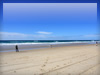 海・海岸・ビーチのフリー写真素材・無料画像145