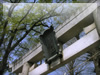 登戸稲荷神社の鳥居のフリー写真素材・無料画像