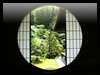 東福寺芬陀院　茶室の丸窓の無料画像
