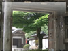 黒門　高尾山薬王院のフリー写真素材・無料画像