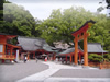 熊野那智大社　拝殿の無料写真