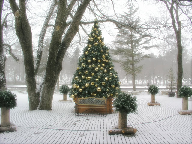 クリスマスツリーに雪が降る