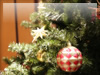 クリスマス（X'mas）のフリー写真素材・無料画像023