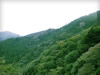 大山の自然　フリー写真素材　無料画像
