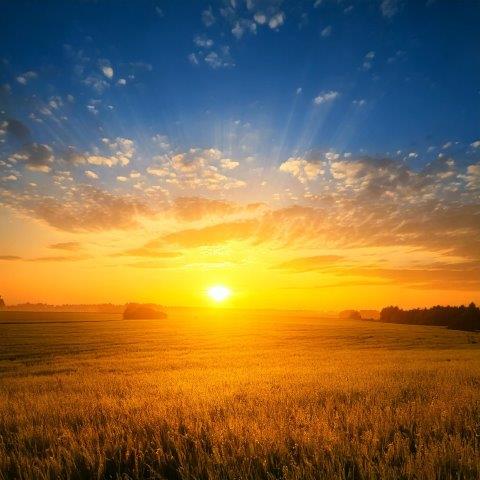 雄大な大平原の夕暮れ時の写真素材