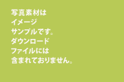 サンプルイメージ