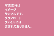 サンプルイメージ